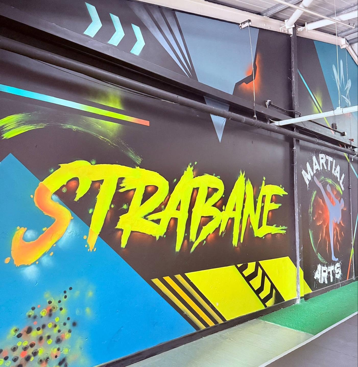 Strabane Martial Arts Academy training facility